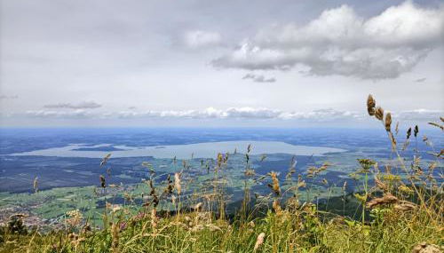 Ferienhaus Auszeit - Photo 4