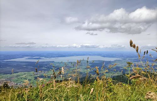 Ferienhaus Auszeit - Photo 4