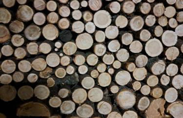 Appartamento Panorama Bormio - Photo 19