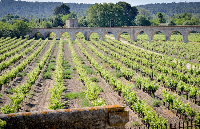 La Résidence du Château de Jouarres - Foto 77