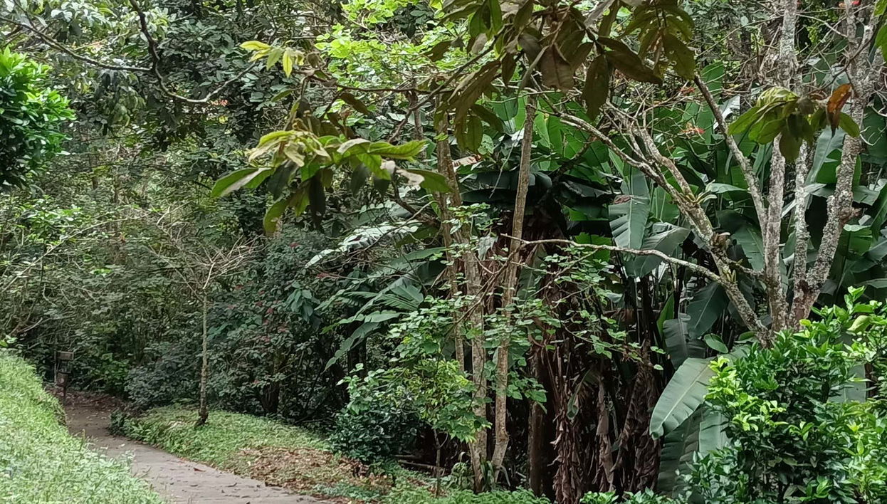 Parque de la Vida Free Tour