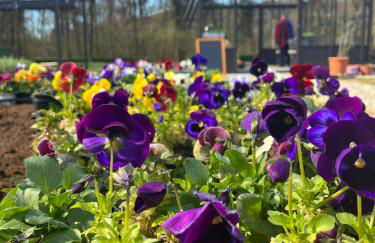 Agriturismo Biomatto - Foto 9