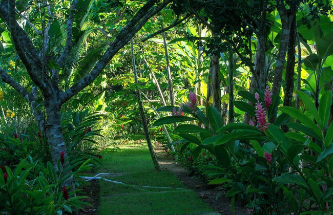 Quinta do Brasil Trancoso - Foto 74