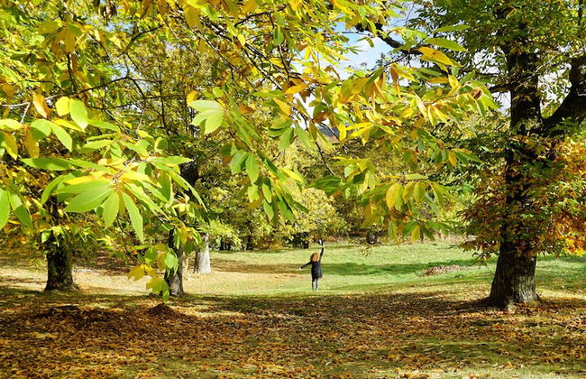 Agriturismo Bio I Rondinelli - Foto 46