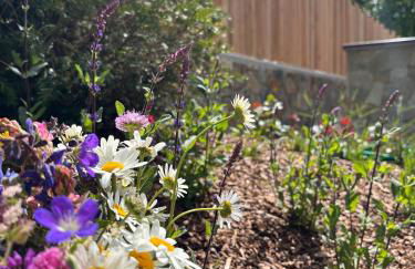 Arnica Alpin Lodge - Foto 10