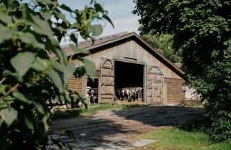 Pärchen Auszeit am Rande der Heide Tokajer Zimmer - Foto 11