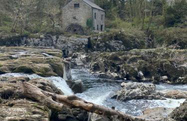 Caban Coetir - Photo 20