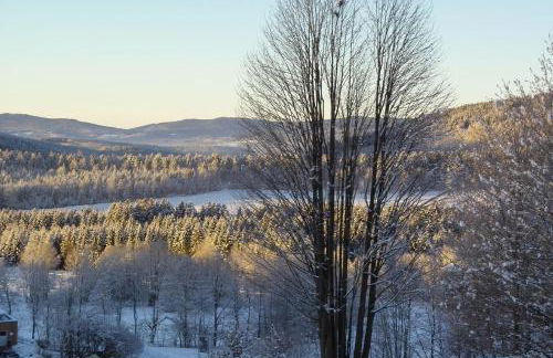 Ferienwohnung Panoramablick 1 - Foto 21
