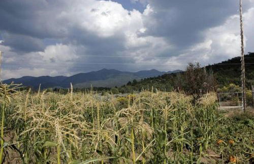 Studio-Style Log Cabin near Carson National Forest, New Mexico - Foto 53
