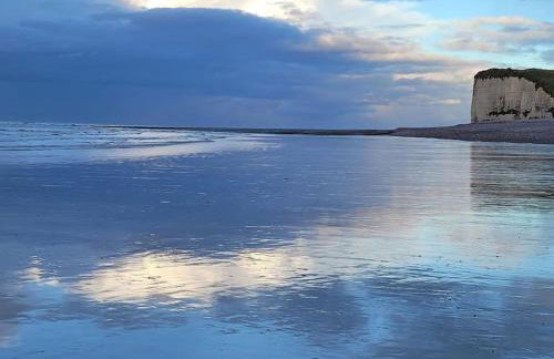 Duplex Normandie, tout confort Saint Valery en Caux - Foto 33