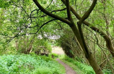 Ferienwohnung Kalleby 26 - Foto 14