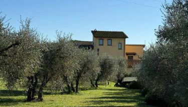 Melarancio Home - Foto 4, Garden