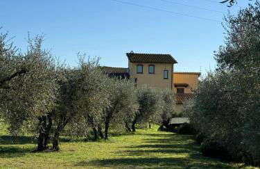 Melarancio Home - Foto 4