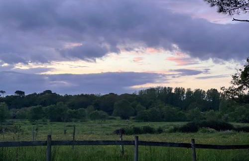 Gîtes de charme "l'écrin de Vendée" jacuzzi privatif, piscine chauffée, prestations bien être, vélos à 10 mn de l'océan sur 3,5 h de verdure - Photo 45