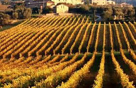 La casa di Elvira - Foto 29