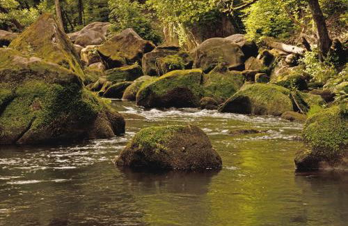 Landhaus Waldlehne - Foto 39