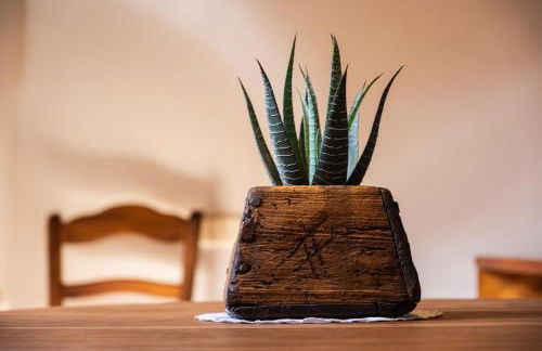 Apartaments Ca de Badia - Foto 50