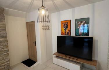 La Maxipontaine - Foto 6