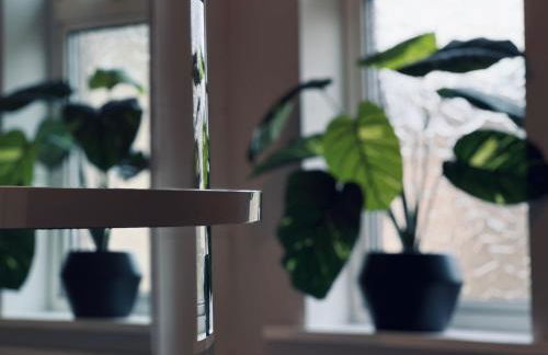 Five Bedroom Five Bathroom House - Dalkeith - Photo 19