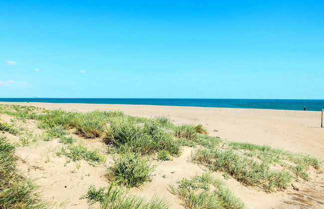 Domaine Les Mûriers - Foto 5