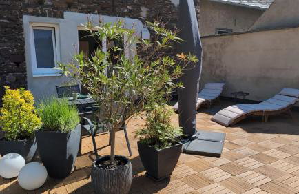 Terrasse der Ruhe im Alten Winzerhaus am Calmont - Photo 1