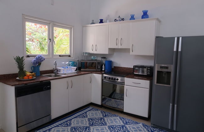 Ocean Front Villa in Aruba - Stunning Full House - Photo 8