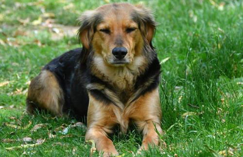 StorchenHof - Foto 16