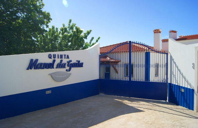 Quinta Manel da Gaita - Foto 46