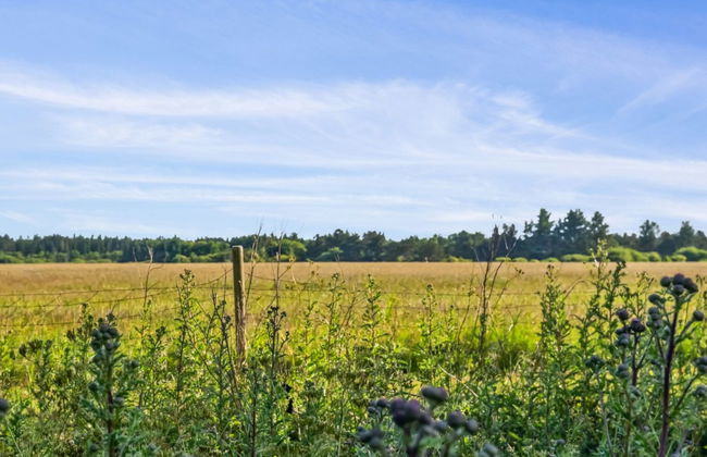 "Elsia" - 1.5km to the fjord - Foto 7