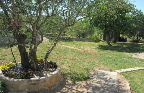 House Pansy - Foto 17