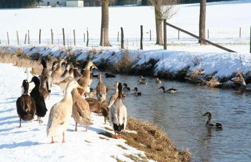Im-Muehlengrund - Foto 21