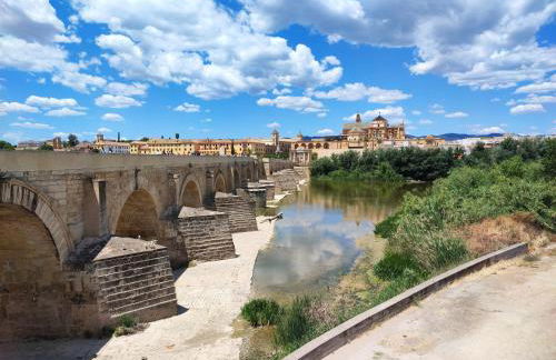 Apartamento Alcázar San Basilio - Foto 15