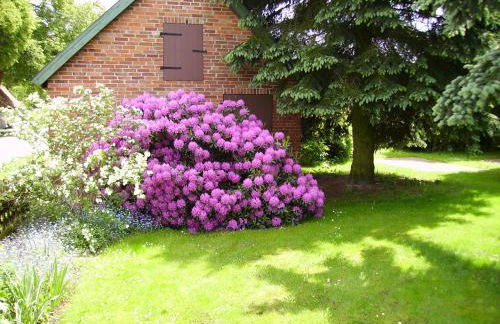 Ferienhof Meyer - Foto 78