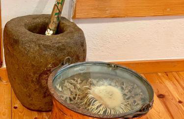 Πέτρινο παραδοσιακό σπίτι "Χιονάτη" - Foto 13