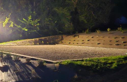 Domaine de Massoulac - Foto 63