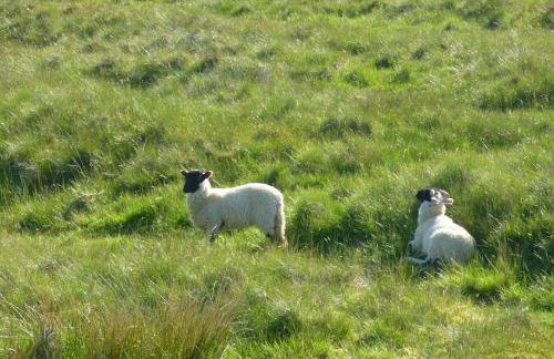 Middlehope Cottage - Photo 48