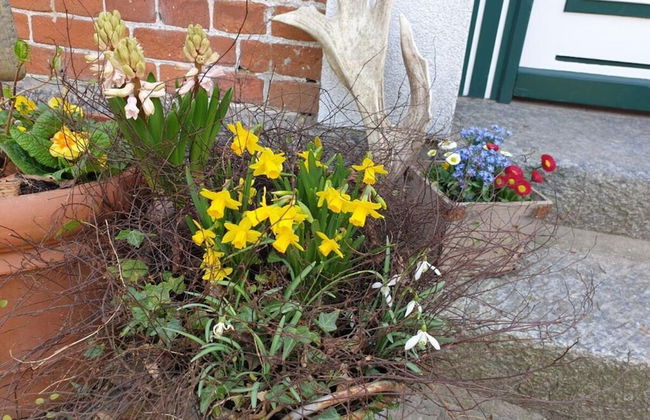 Siems Modern Retreat - Foto 24