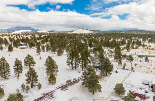 Wild Bill Retreat Treehouse Acre of Fun Near Grand Canyon Williams - Foto 46