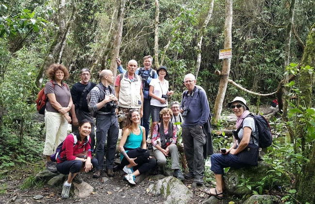 Senderismo por el Valle de Cocora - Foto 4