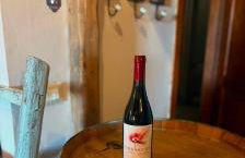 Appartamento nel Borgo Cuore dell'Umbria, vicino ad Assisi - Foto 21