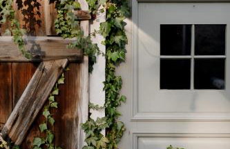 domnumer 10 Pokrzywnik - Foto 65