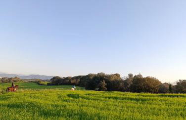 Masía Can Janàs - Foto 15