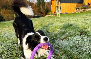 Hill & Chill Kudowa Zdrój - nowoczesne stodoły ze strefą SPA, balia, sauna - Foto 25