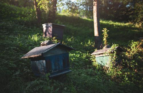 Pasieka - Dom Wypoczynkowy - Foto 43