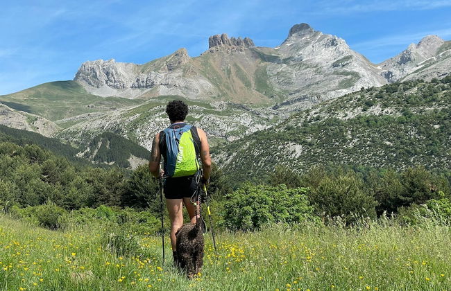 Apartahotel Canfranc - Foto 52