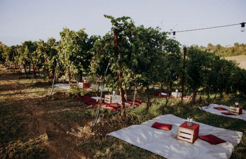 Agriturismo Opera 02 - Photo 44