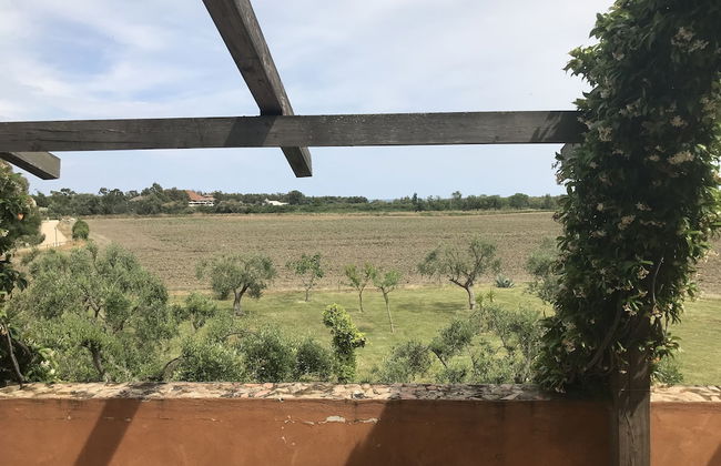 Masseria Scannaturco - Photo 33