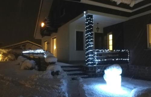 I tulipani - Foto 46