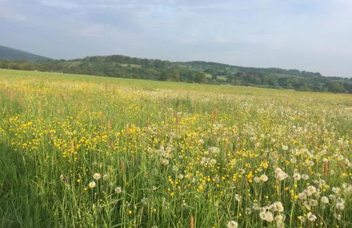 FeWo Haus Emma OG - Photo 23