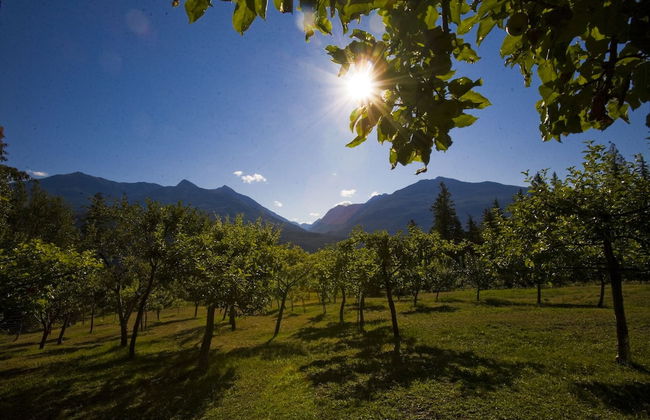 WING CREEK RESORT - Foto 30